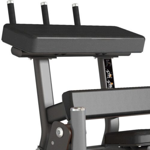 Toorx FWX-9500 Standing Leg Curl - Kraftstation - Plate Loaded – Das ultimative Gerät für effektives Beintraining