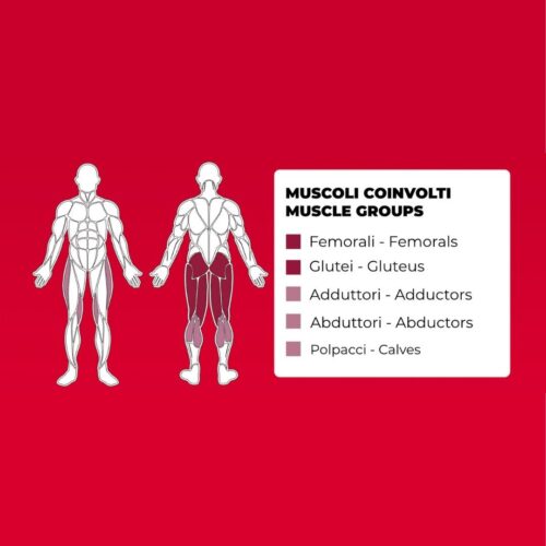 Toorx FWX-9500 Standing Leg Curl - Kraftstation - Plate Loaded – Das ultimative Gerät für effektives Beintraining