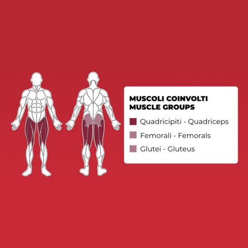 Toorx PLX-9600 Seated Leg Curl/Leg Extension – modernes Fitnessgerät für Beintraining