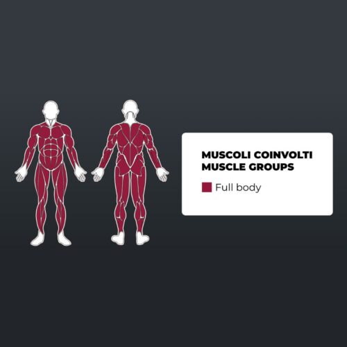 Toorx PRX-5000 - Dual Cross Cable und Dual Pulley für maximale Trainingsvielfalt